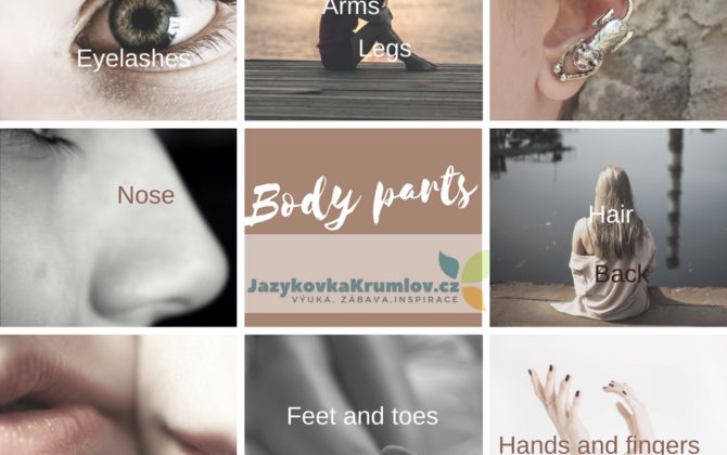Anglická slovíčka – části těla Anglická slovíčka – části těla